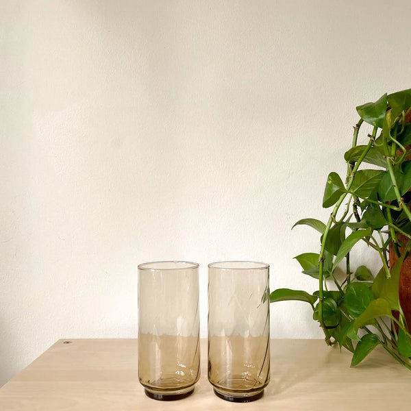 1970s Vintage Libbey Tawny Smoke Swirl Drinking Glasses - Set of Two